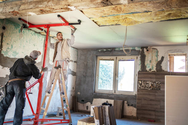 Best Insulation Removal  in Wyandanch, NY