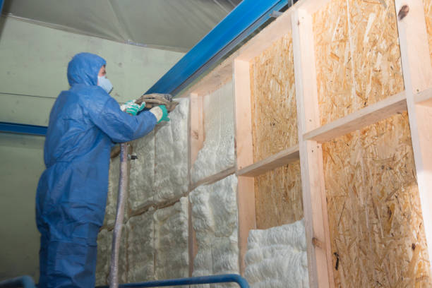 Best Cellulose Insulation  in Wyandanch, NY